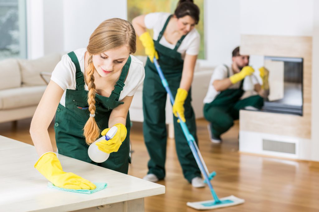 Advance Home Cleaning - FURNISHED INDEPENDENT HOUSE