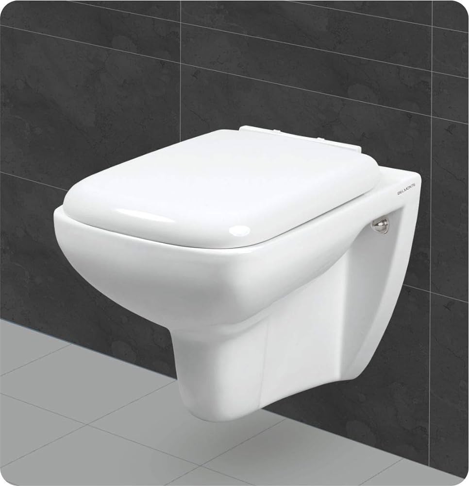 Western toilet installation (wall mounted) (2 hrs)