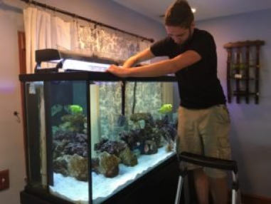 Aquarium Cleaning Service