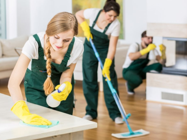 Advance Home Cleaning - FURNISHED INDEPENDENT HOUSE